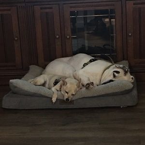 Meet your Posher, Teresa